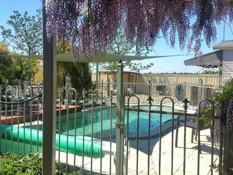 Must Love Dogs B&B And Self-Contained Cottage - Tweed Heads Accommodation 0