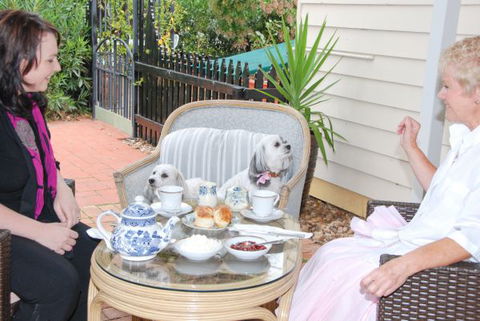 Must Love Dogs B&B And Self-Contained Cottage - Tweed Heads Accommodation 2