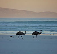 Thomas River Shire Reserve Camp at Cape Arid National Park - Tweed Heads Accommodation