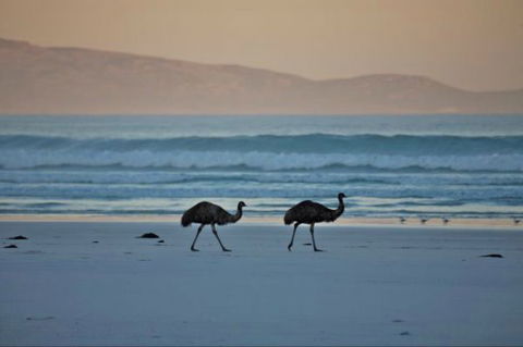 Thomas River Shire Reserve Camp At Cape Arid National Park - Tweed Heads Accommodation 0