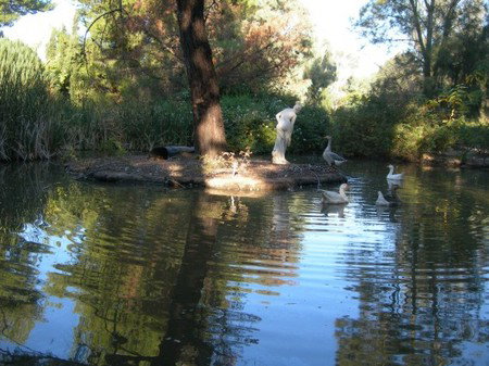 Lyndoch Hill Retreat - Tweed Heads Accommodation 2