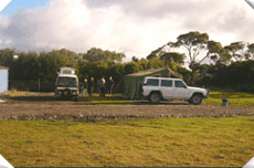 Arthur River Cabin Park - Tweed Heads Accommodation 4