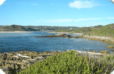 Arthur River Cabin Park - Tweed Heads Accommodation 5