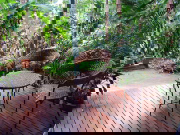 Abbazia Rainforest Studio - Tweed Heads Accommodation 3