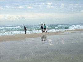 Alfies By The Sea - Tweed Heads Accommodation 0