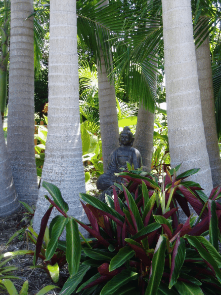 Amber Gardens Guesthouse - Tweed Heads Accommodation 3