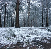 High Peaks Cottages - Tweed Heads Accommodation