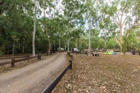 Carnarvon National Park Camping - Tweed Heads Accommodation 1