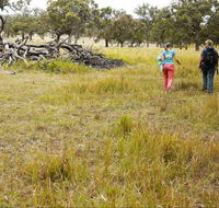 Carnarvon National Park camping - Tweed Heads Accommodation
