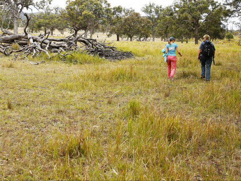 Carnarvon National Park Camping - Tweed Heads Accommodation 0