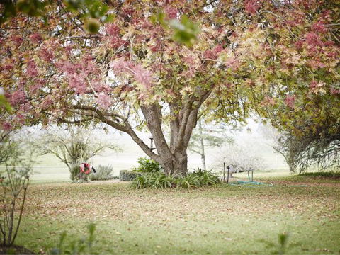 WillOaks B&B - Tweed Heads Accommodation 8