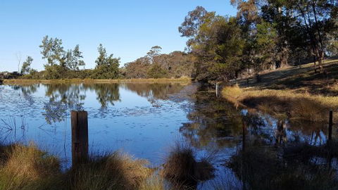 Blueberry Hills On Comleroy - Tweed Heads Accommodation 8