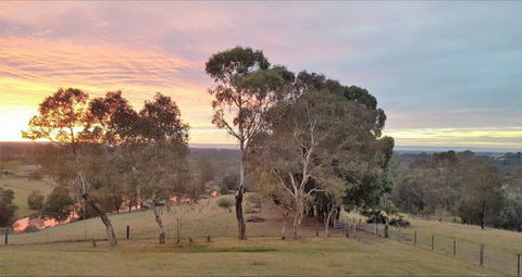 Blueberry Hills On Comleroy - Tweed Heads Accommodation 9