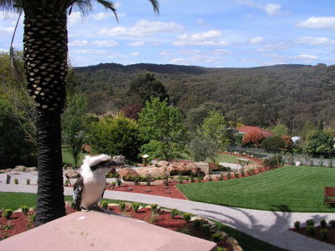 Grange Bellinzona - Tweed Heads Accommodation 4