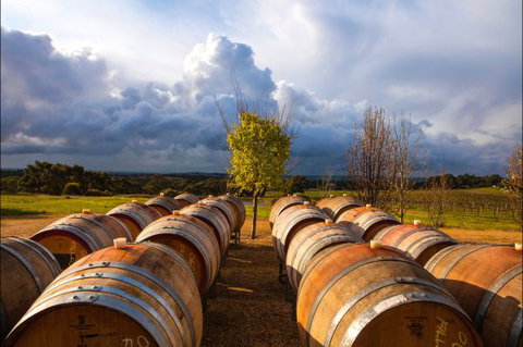 Barossa Chateau - Tweed Heads Accommodation 4