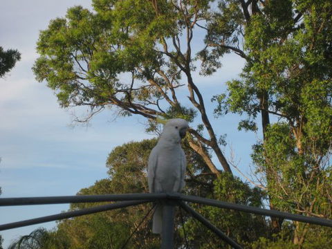 Winnamatta Guest House - Tweed Heads Accommodation 5