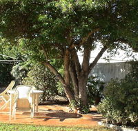 Bev's Retreat Bed and Breakfast - Tweed Heads Accommodation