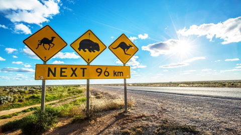 Nullarbor Roadhouse - Tweed Heads Accommodation 1