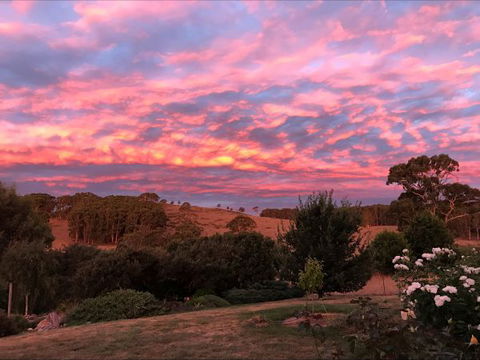 Avaleigh Elms Farmstay - Tweed Heads Accommodation 5