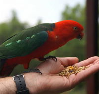 Barrington Tops Escapes - Tweed Heads Accommodation