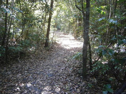 Byfield Cabins On Waterpark Creek - Tweed Heads Accommodation 5