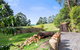 Cape Cottages - thumb 5
