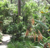 Dunns Creek Downs Nature Stay - Tweed Heads Accommodation