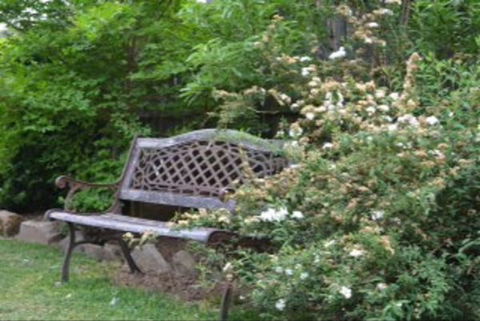 Garden Cottage B And B - Tweed Heads Accommodation 4