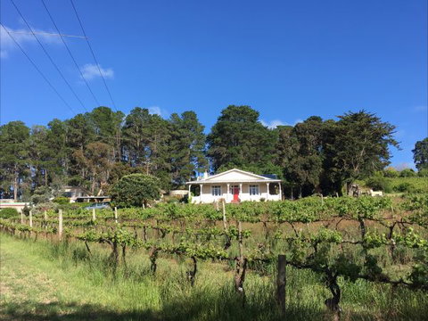 Karawatha Cottages B&B - Tweed Heads Accommodation 1