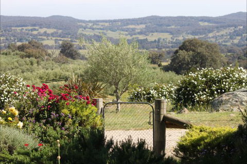 L'Oliveraie - Tweed Heads Accommodation 1