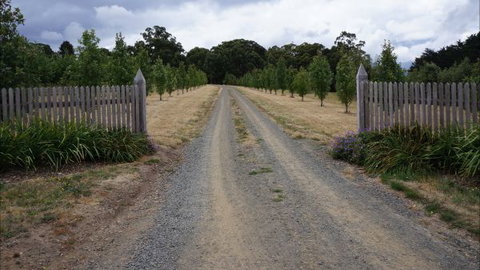 Oakhill Cottage - Tweed Heads Accommodation 7