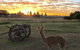 Pelican Waters Holiday Park - thumb 2