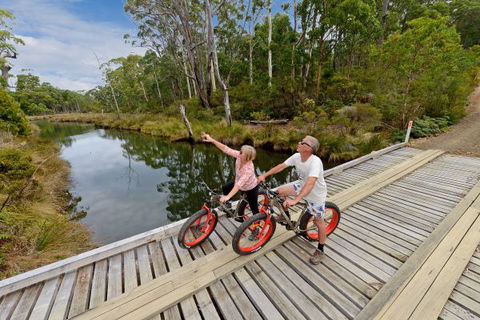 Saintys Creek Cottage - Tweed Heads Accommodation 6