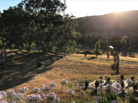 Shearer's Hill - Luxury Farm Stay - Tweed Heads Accommodation 9