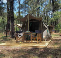 Tall Trees Camping on the Great Ocean Road - Tweed Heads Accommodation