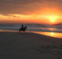 Tassiriki Holiday Cabins - Tweed Heads Accommodation