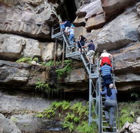 Takarakka Bush Resort Carnarvon Gorge - Tweed Heads Accommodation