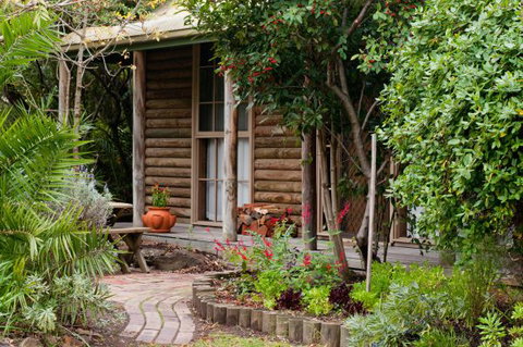 Ti-Tree Village Ocean Grove - Tweed Heads Accommodation 1