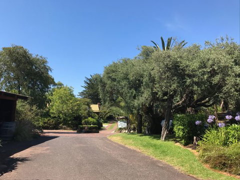 Ti-Tree Village Ocean Grove - Tweed Heads Accommodation 9