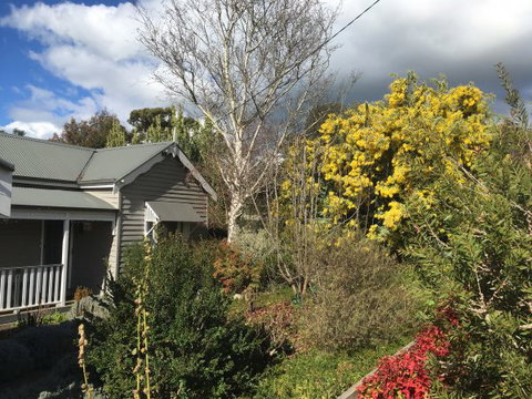 Valley View Cottage - Tweed Heads Accommodation 4