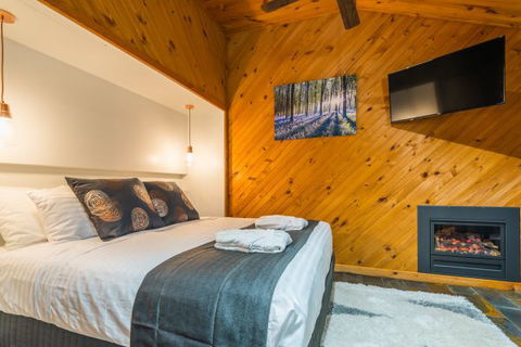 Waterfall Springs Retreat And Wildlife Sanctuary - Tweed Heads Accommodation 2