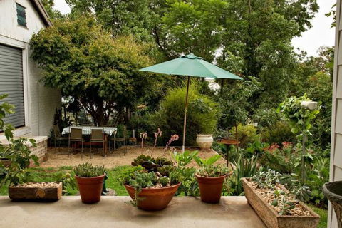 Young Garden Retreat - Tweed Heads Accommodation 4