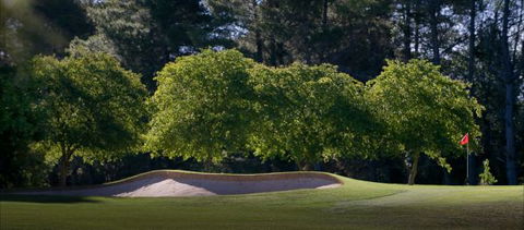 Yowani Country Club - Tweed Heads Accommodation 4