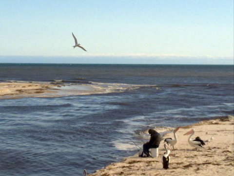 Acushla Accommodation - Tweed Heads Accommodation 8