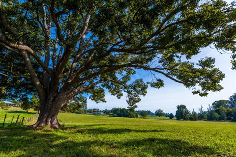 All About Me Bed And Breakfast - Tweed Heads Accommodation 8