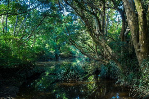 All About Me Bed And Breakfast - Tweed Heads Accommodation 9