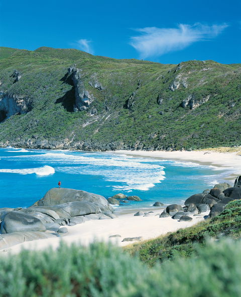 Banksia Camp At D'Entrecasteaux National Park - Tweed Heads Accommodation 0