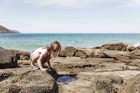 BIG4 Wye River Holiday Park - Tweed Heads Accommodation 9