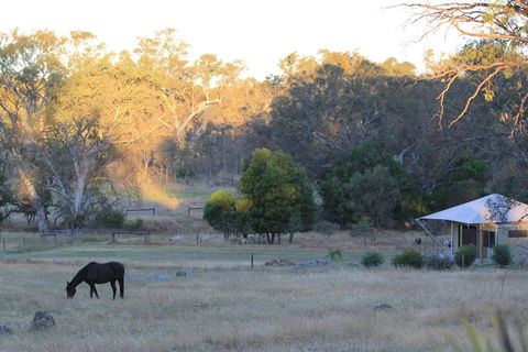 Boongarrie Luxury Tent - Tweed Heads Accommodation 7