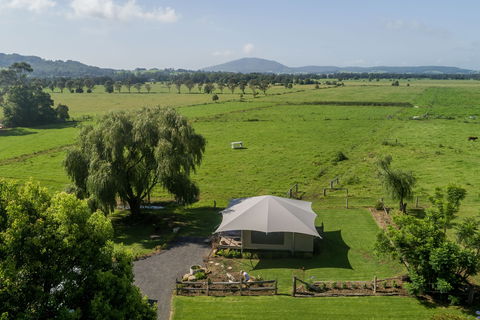 Britlyn Willows - Glamping In Berry - Tweed Heads Accommodation 2